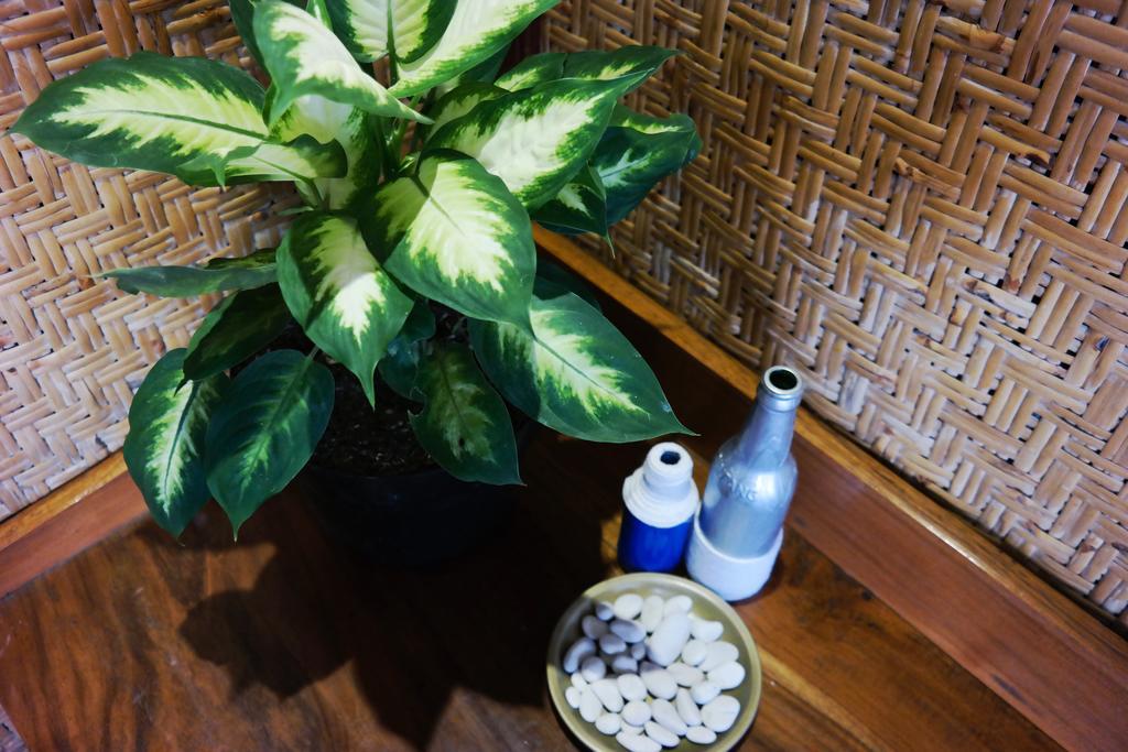 Hotel Tehila House Canggu Exterior foto